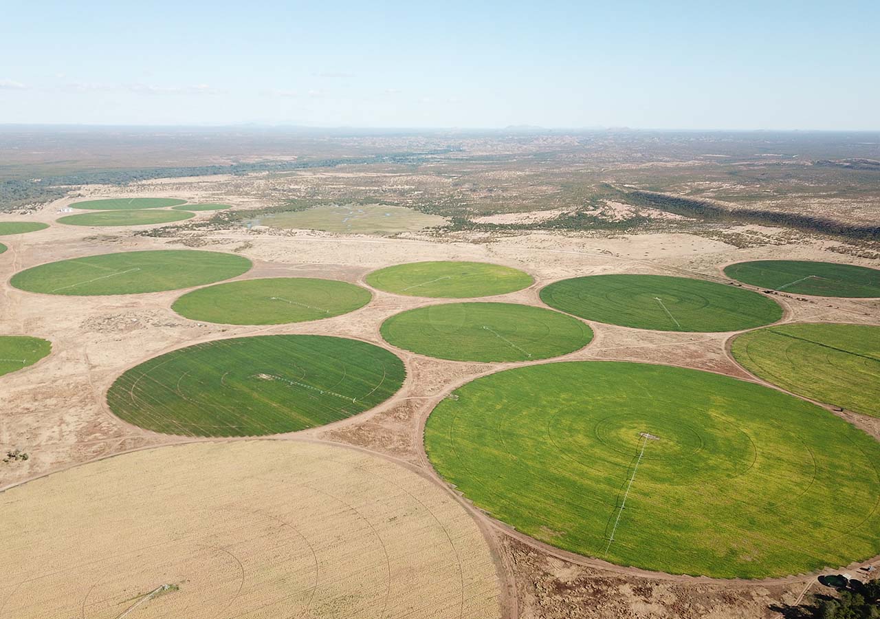 Top view of irrigation field